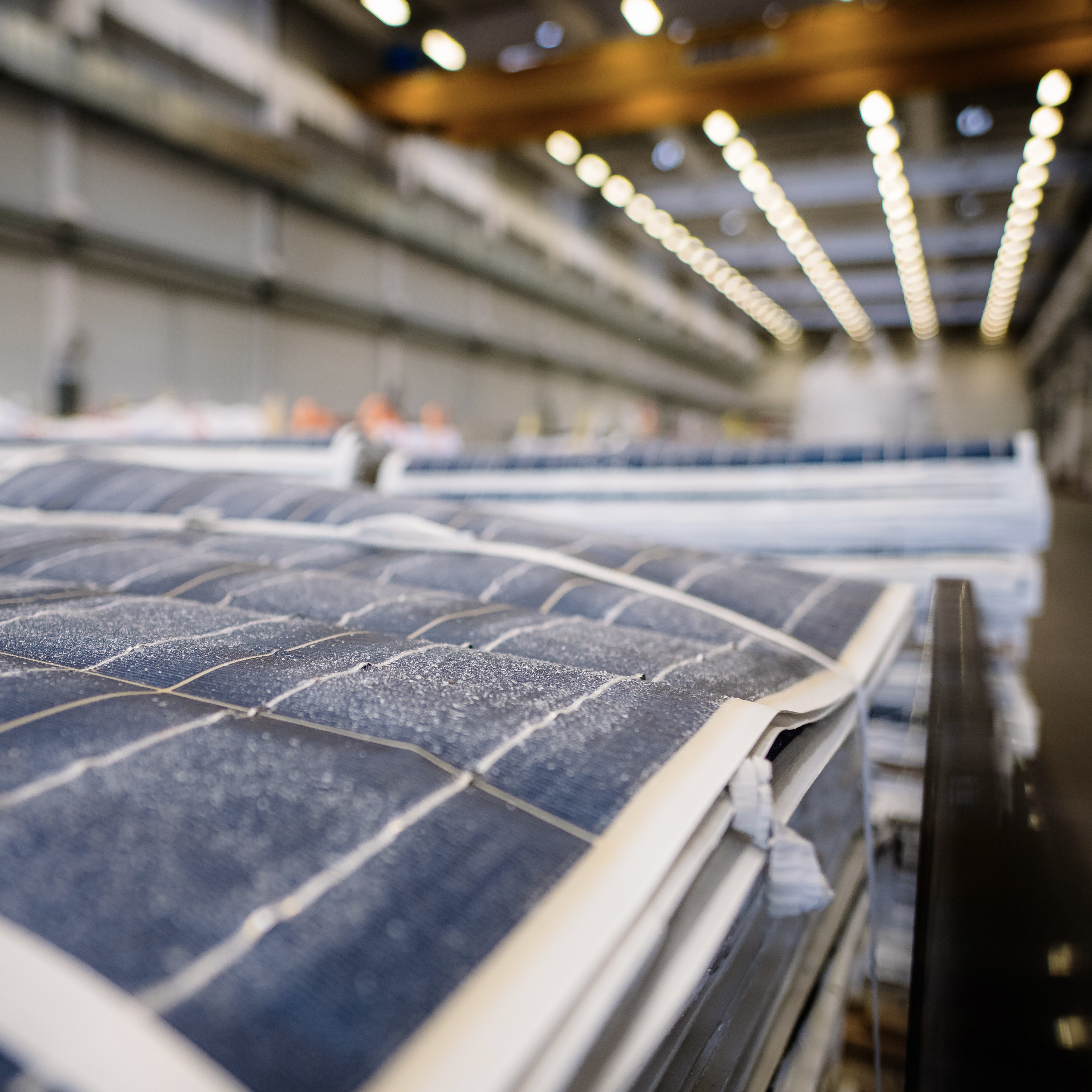 Solar Materials Solarmodule im Solarpark